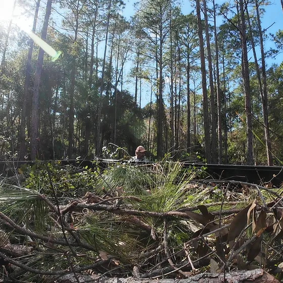 Lot covered in brush and palm fronds before clearing