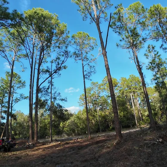 The same lot cleared down to bare ground